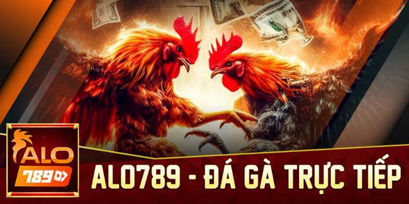 Kèo đá gà trực tiếp tại Alo789 là gì?