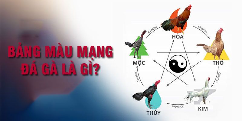 Mọi người hiểu về thuyết tương sinh tương khắc màu mạng